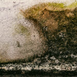 Fugt i kælderen